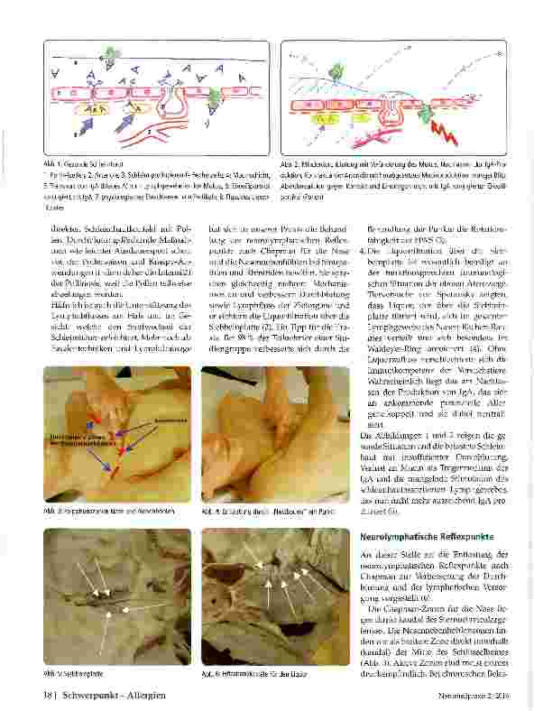 Vorschauseite 2: Pollinosis Reflextherapien und Kraniumtechniken