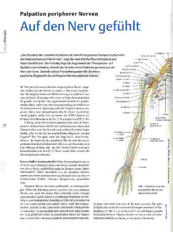 Vorschauseite 1: Palpation peripherer NervenAuf den Nerv gefühlt
