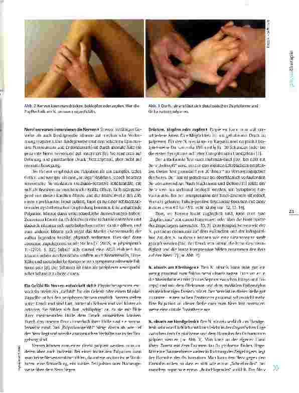 Vorschauseite 2: Palpation peripherer NervenAuf den Nerv gefühlt
