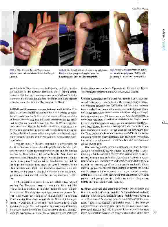 Vorschauseite 4: Palpation peripherer NervenAuf den Nerv gefühlt