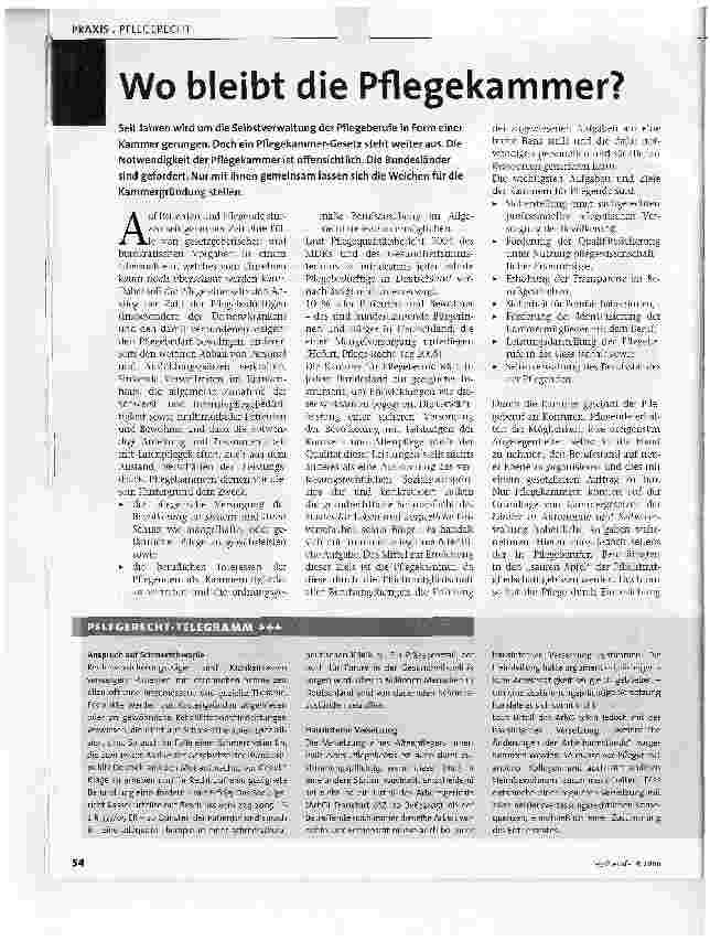 Vorschauseite 1: Wo bleibt die Pflegekammer?