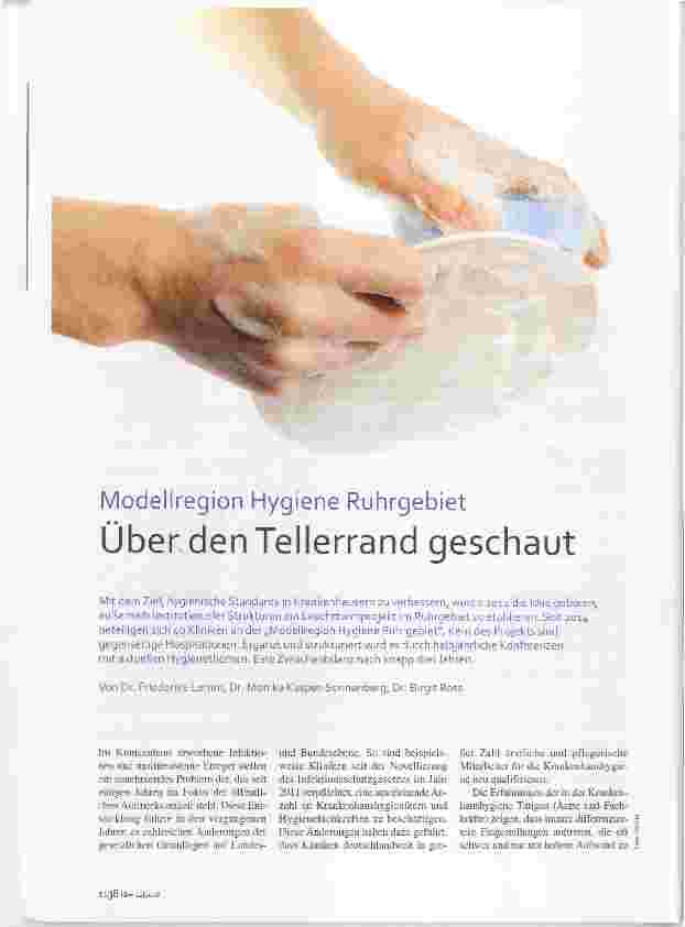 Vorschauseite 1: Modellregion Hygiene Ruhrgebiet Über den Tellerrand geschaut