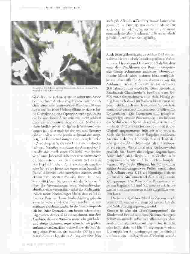 Vorschauseite 2: Naturheilkunde kompakt - Wegweiser zur Gesundheit