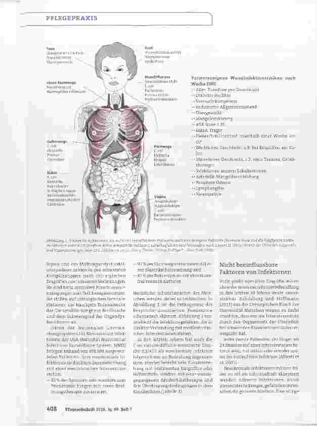 Vorschauseite 5: Nosokomiale Infektionen: Verbreitung und Risikofaktoren