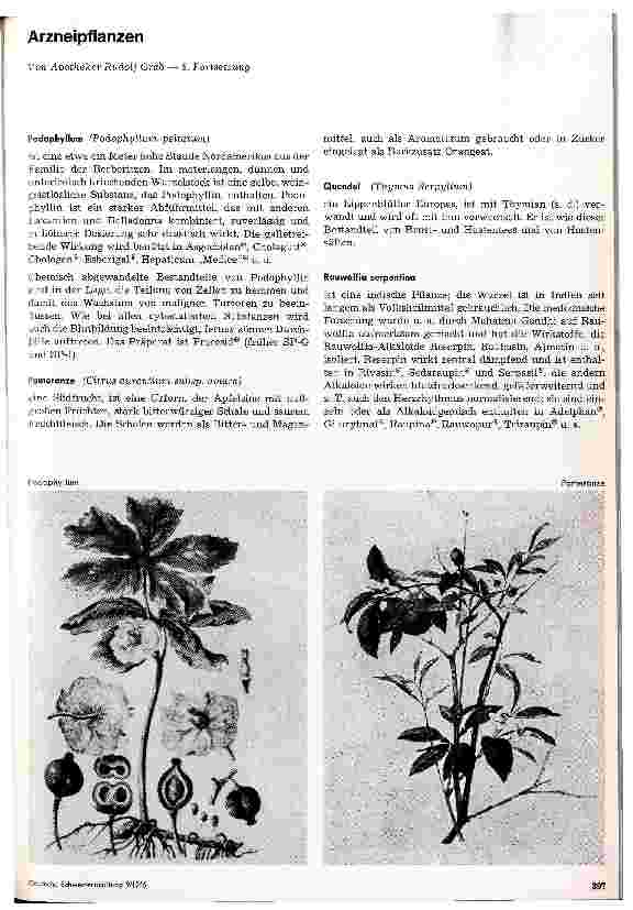 Vorschauseite 1: Arzneipflanzen 8. Fortsetzung