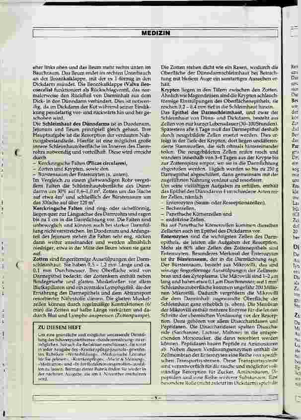 Vorschauseite 3: Anatomie und Histologie des Verdauungstraktes