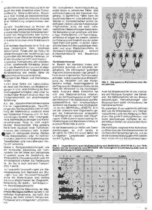 Vorschauseite 2: Urologie 7. Folge: Tumoren des Urogenitalsystems