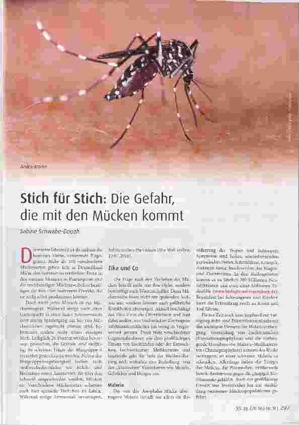 Vorschauseite 1: Stich für Stich: Die Gefahr, die mit den Mücken kommt