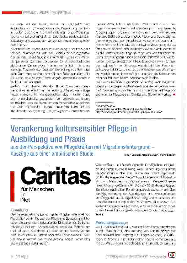 Vorschauseite 1: Verankerung kultursensibler Pflege in Ausbildung und Praxis