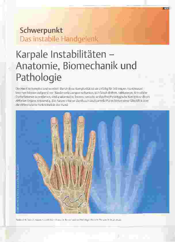 Vorschauseite 1: Karpale Instabilitäten Anatomie, Biomechanik und Pathologie