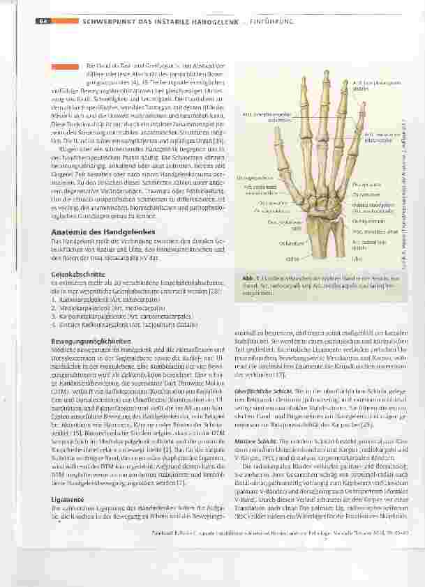 Vorschauseite 2: Karpale Instabilitäten Anatomie, Biomechanik und Pathologie