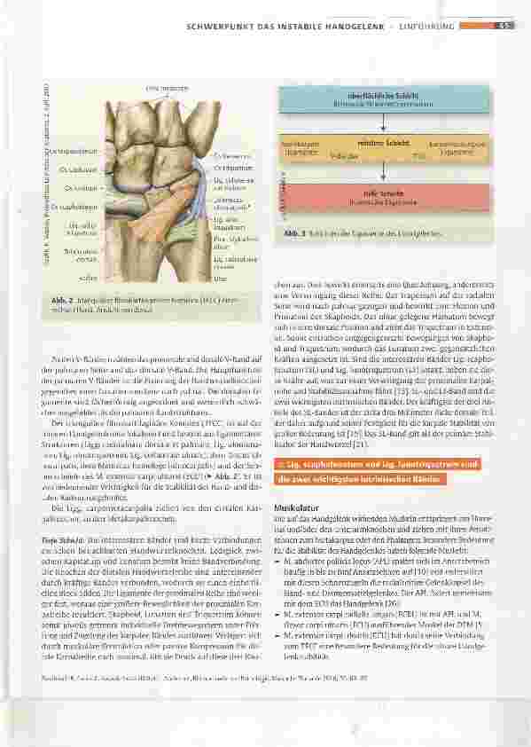 Vorschauseite 3: Karpale Instabilitäten Anatomie, Biomechanik und Pathologie