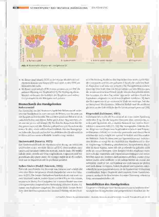 Vorschauseite 4: Karpale Instabilitäten Anatomie, Biomechanik und Pathologie