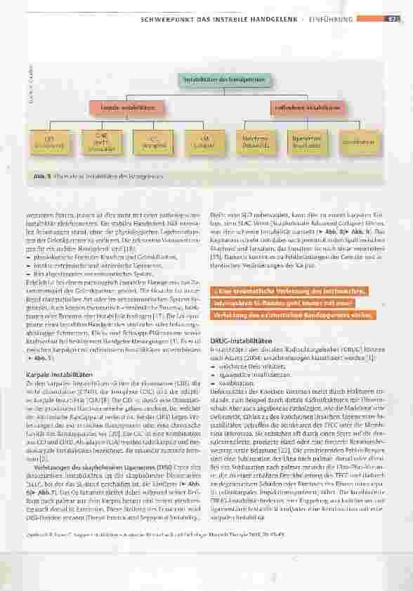 Vorschauseite 5: Karpale Instabilitäten Anatomie, Biomechanik und Pathologie