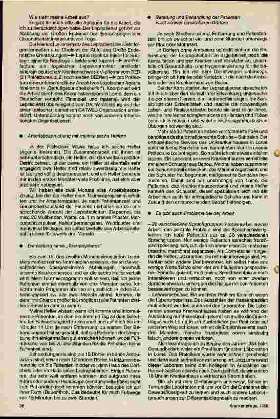 Vorschauseite 2: Meine Arbeit mit den Leprapatienten Als Entwicklungshelferin im Lepraeinsatz in Togo/Westafrika
