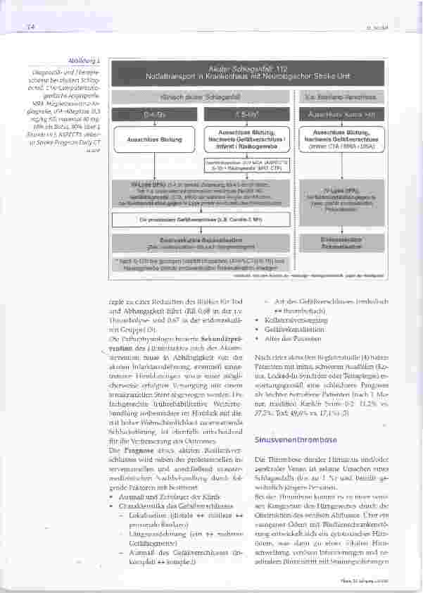 Vorschauseite 2: Stroke: Hirnvenenthrombose und Hirnstamminfarkte