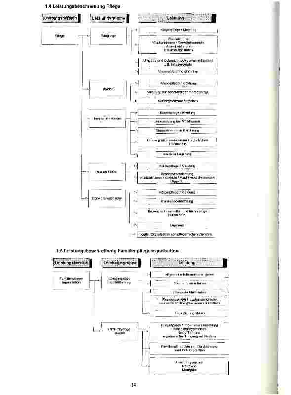 Vorschauseite 6: Erstellung eines Leitfadens als Mittel interner Verständigung und Qualitätssicherung in der Evangelischen Familienpflege