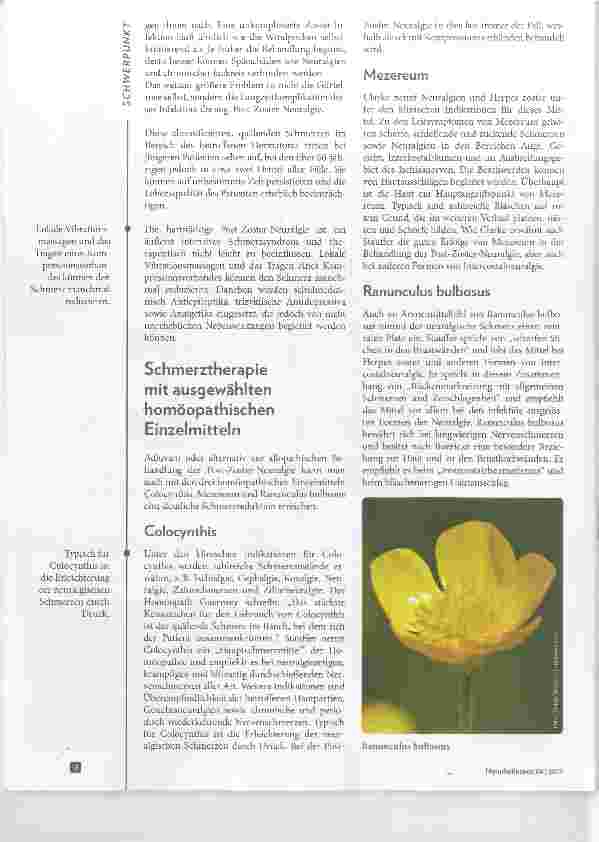 Vorschauseite 2: Post-Zoster-Neuralgie Naturheilkundliche Ansätze zur Schmerztherapie