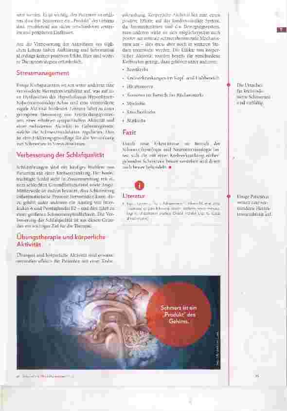 Vorschauseite 2: Die Behandlung von Schmerzen bei onkologischen Patienten