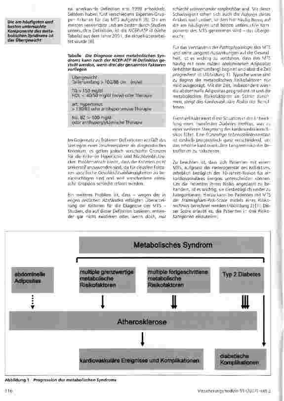Vorschauseite 2: Das metabolische Syndrom