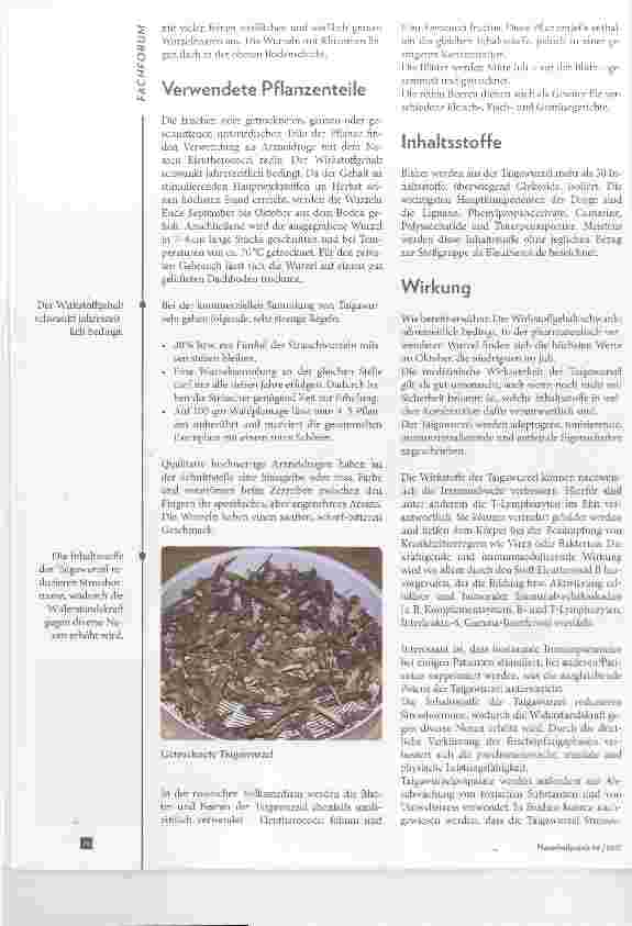 Vorschauseite 2: Die Taigawurzel