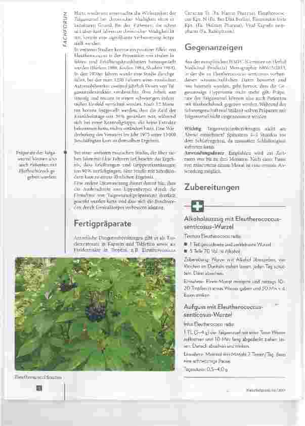 Vorschauseite 4: Die Taigawurzel