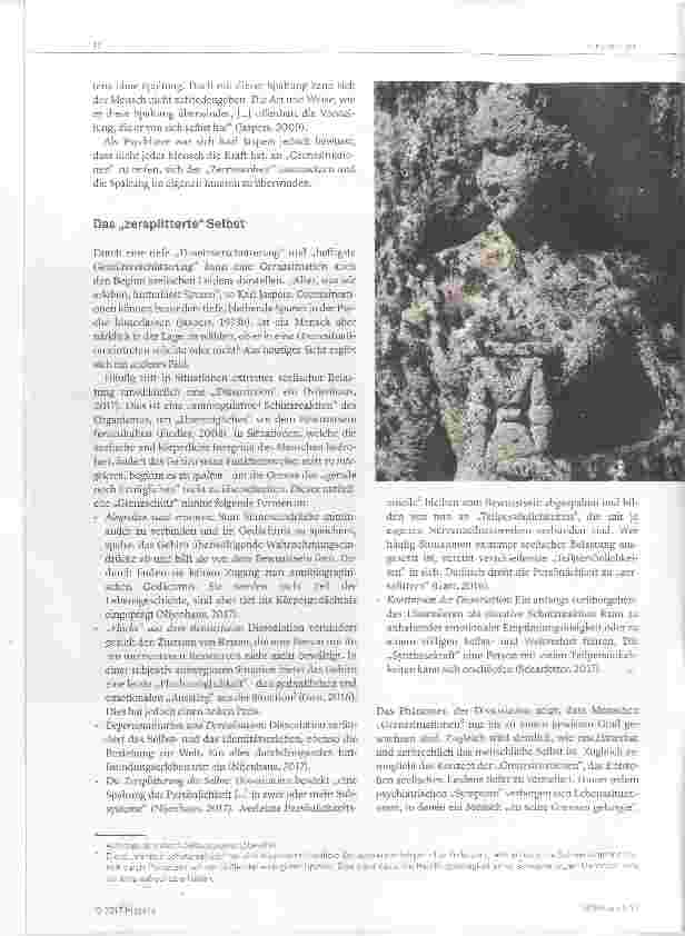 Vorschauseite 2: Die Grenze des Erträglichen