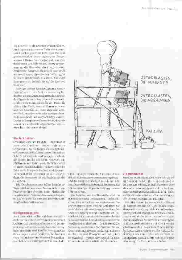 Vorschauseite 2: Bis auf die Knochen