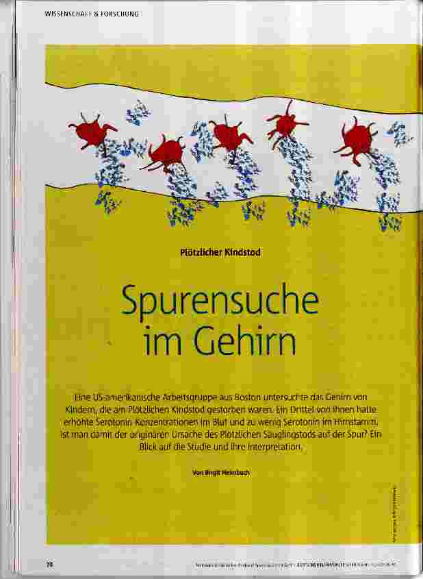 Vorschauseite 1: Spurensuche im Gehirn