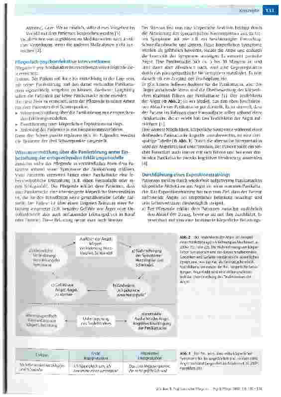 Vorschauseite 4: Psychiatrische Pflege in Verbindung mit psychoedukativen Elementen bei Patienten mit Panikstörungen