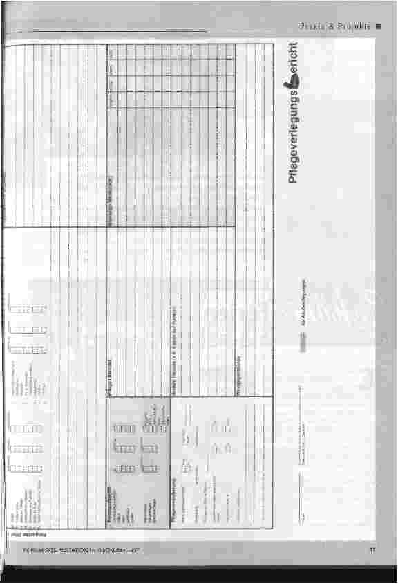 Vorschauseite 2: Pflegeüberleitung ohne Pannen Formular für pflegerelevante Informationen