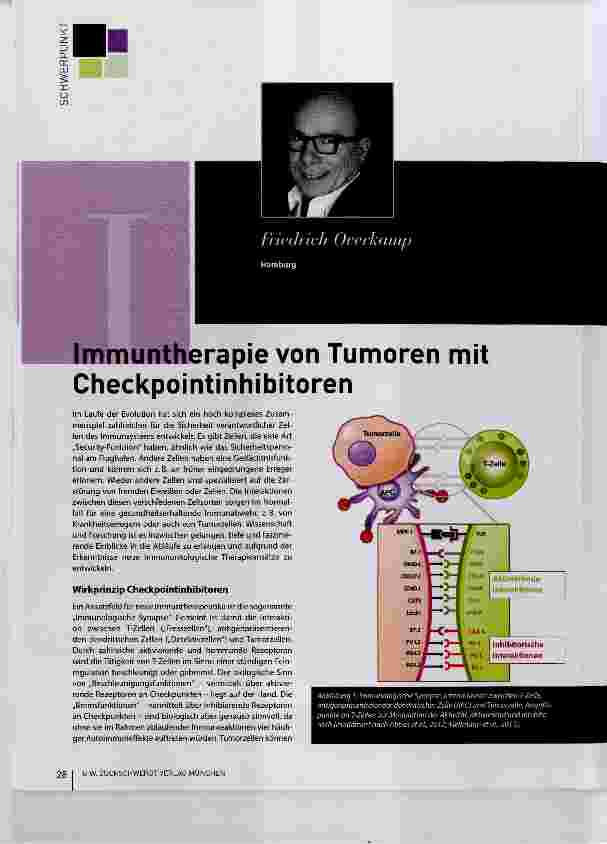 Vorschauseite 1: Immuntherapie von Tumoren mit Checkpointinhibitoren
