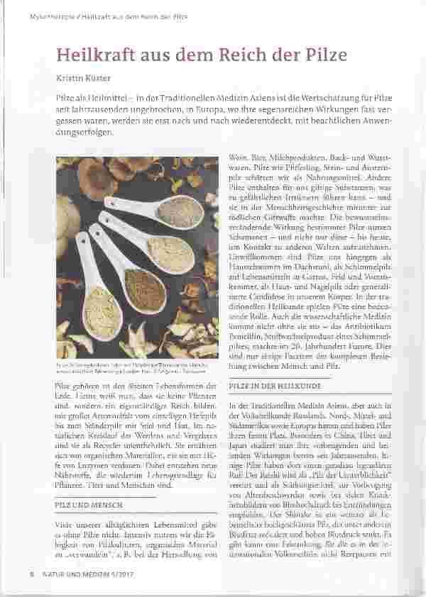 Vorschauseite 1: Heilkraft aus dem Reich der Pilze
