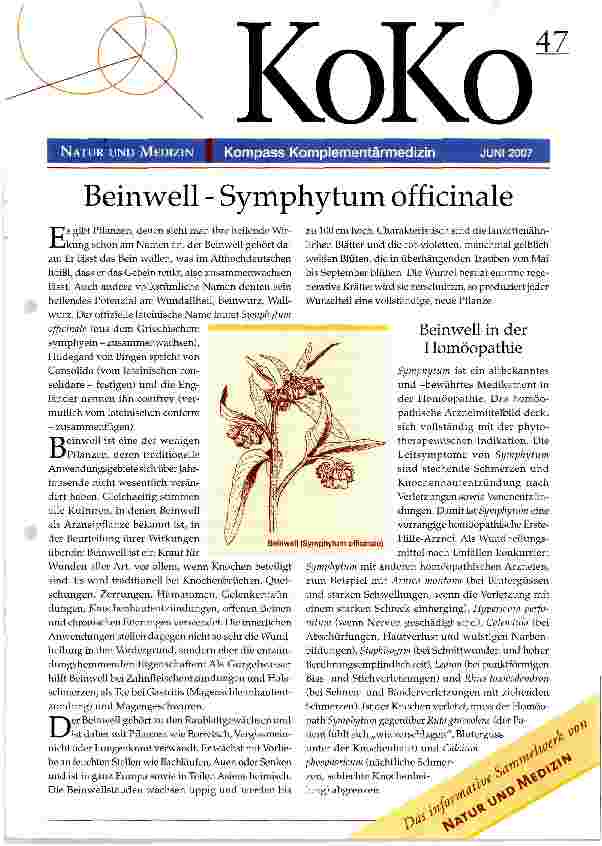Vorschauseite 1: Beinwell - Symphytum officinale