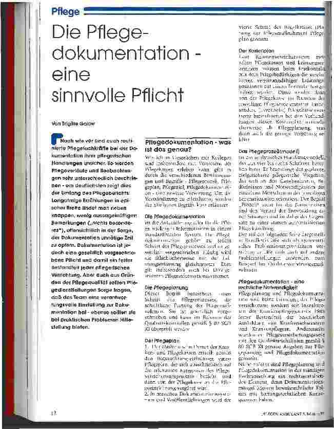 Vorschauseite 1: Die Pflegedokumentation - eine sinnvolle Pflicht