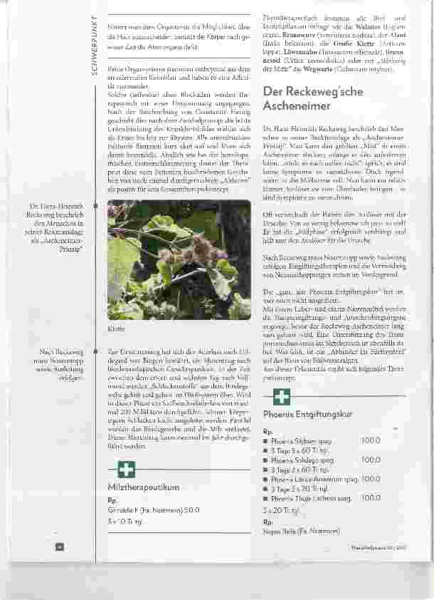 Vorschauseite 3: Die Schuppenflechte