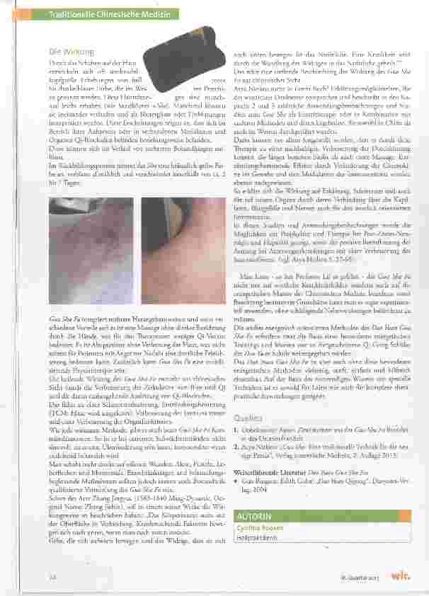 Vorschauseite 3: Dao Yuan Gua Sha Fa