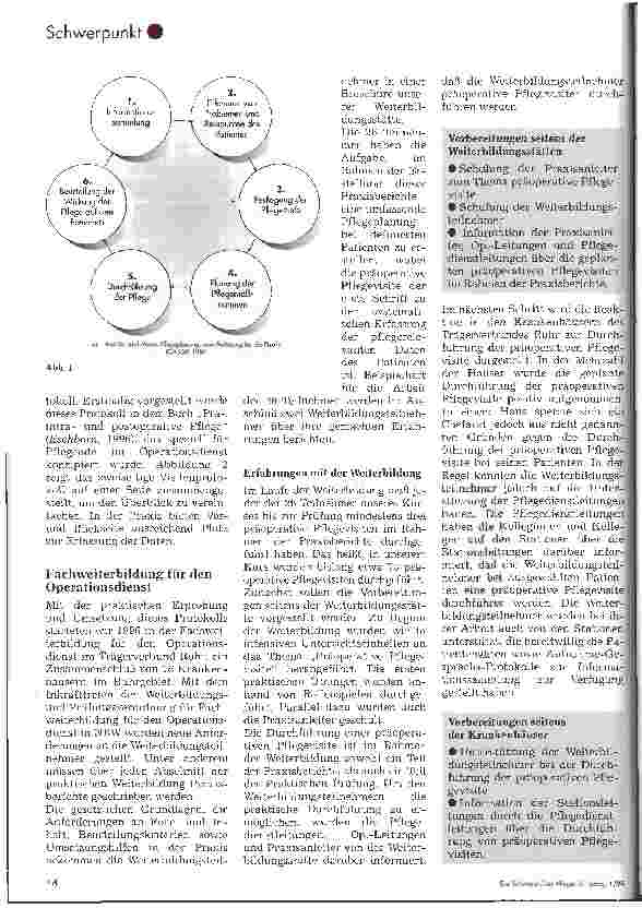 Vorschauseite 2: Die präoperative Pflegevisite Theorie und Praxis