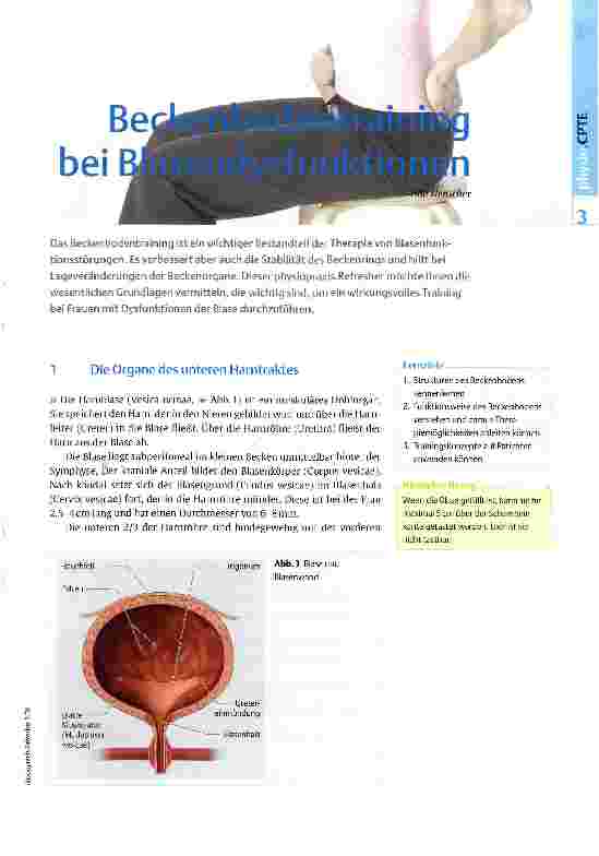 Vorschauseite 1: Beckenbodentraining bei Blasendysfunktion