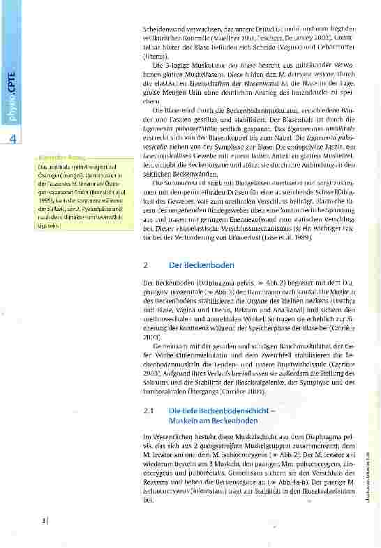 Vorschauseite 2: Beckenbodentraining bei Blasendysfunktion