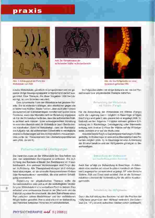 Vorschauseite 2: Physikalische Therapie bei Morbus Bechetrew