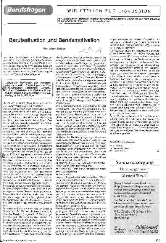 Vorschauseite 1: Berufssituation und Berufsmotivation