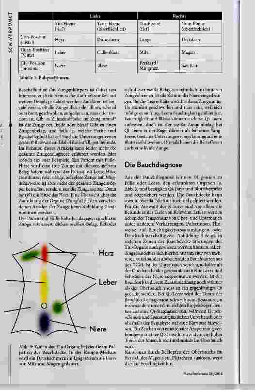Vorschauseite 3: Mit Zungen-, Bauch-, und Pulsdiagnose zur individuellen Kräuterrezeptur
