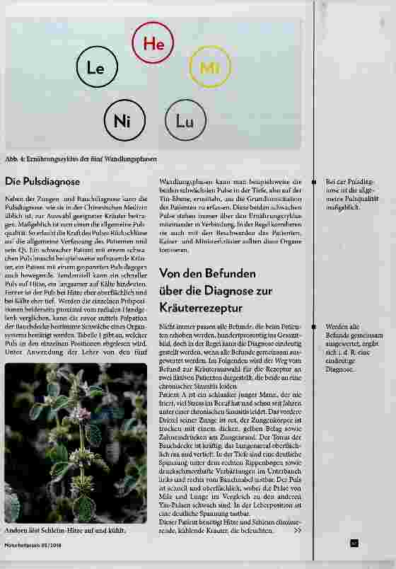 Vorschauseite 4: Mit Zungen-, Bauch-, und Pulsdiagnose zur individuellen Kräuterrezeptur