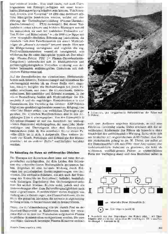 Vorschauseite 4: Alte und neue Befunde zur Bluterkrankheit (Hämophilie)