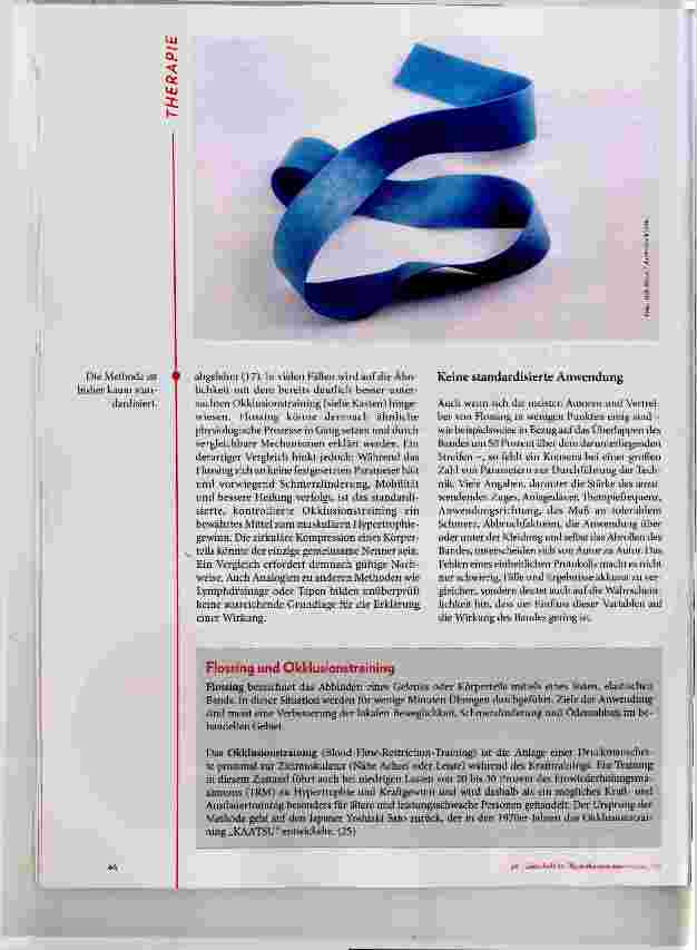 Vorschauseite 3: Flossing in Fakten