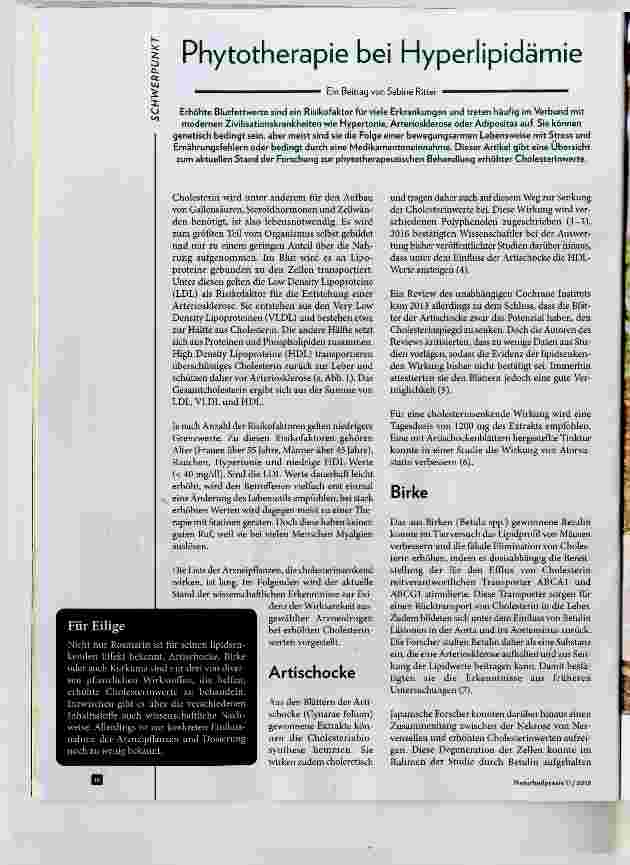 Vorschauseite 1: Phytotherapie bei Hyperlipidämie