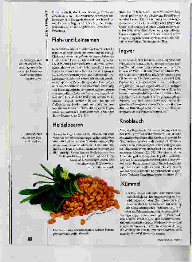 Vorschauseite 3: Phytotherapie bei Hyperlipidämie