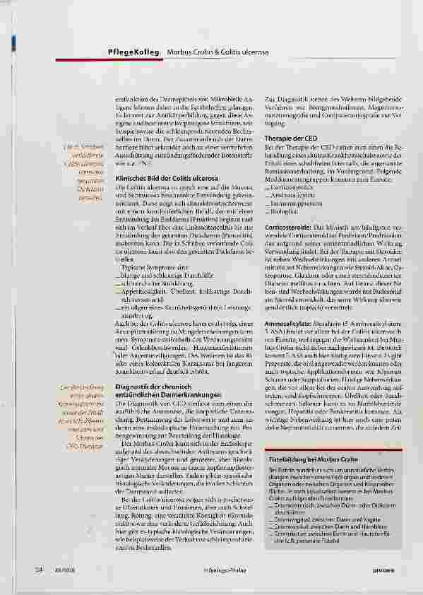 Vorschauseite 3: Die chronisch entzündliche Darmerkrankung: ein Überblick