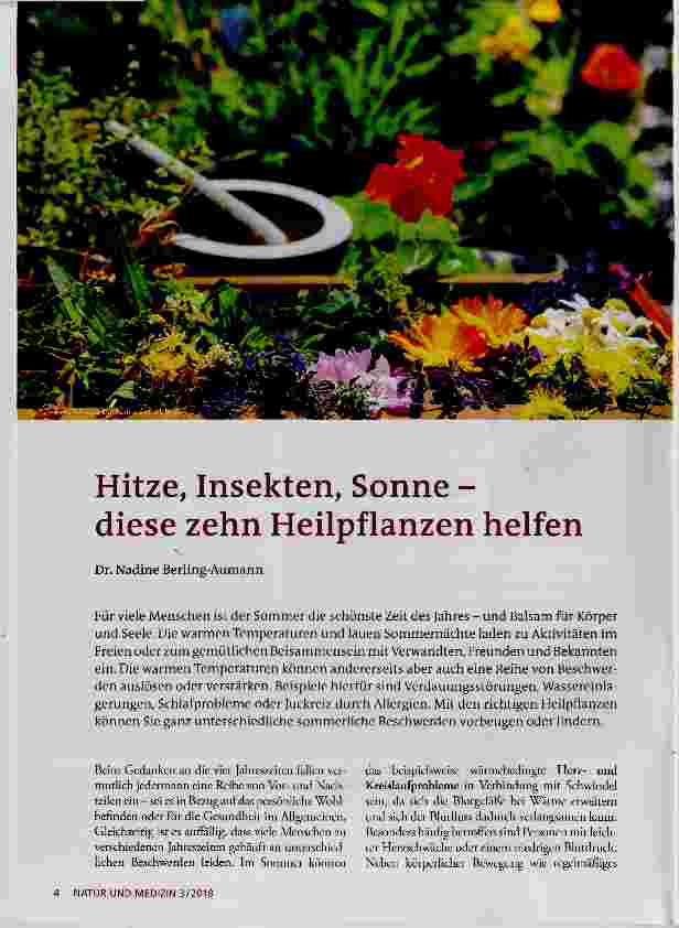 Vorschauseite 1: Hitze, Insekten, Sonne diese zehn Heilpflanzen helfen